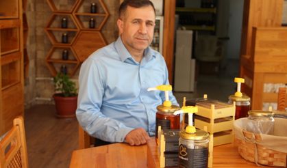 Yağışlar arıcıların yüzünü güldürdü