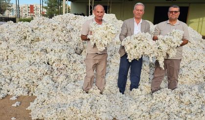 PAMUK ÜRETİCİSİ ÜZGÜN