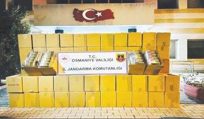 Kaçakçılarla mücadele sürüyor