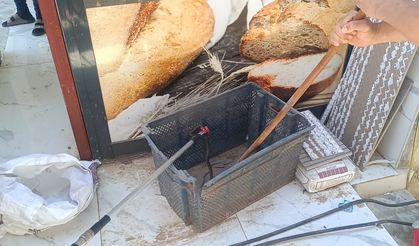 Yılan ve kene görülme vakaları artıyor