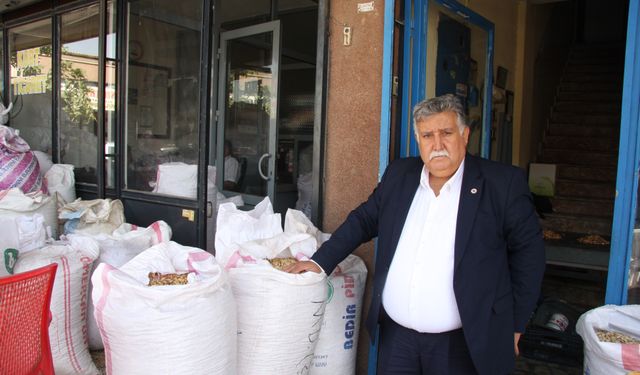 '200 Bin Ton Civarında Fıstık Depolarda Bekliyor'