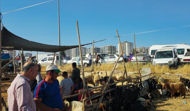 Kurban Bayramı'nda 90 bin küçükbaş kesildi