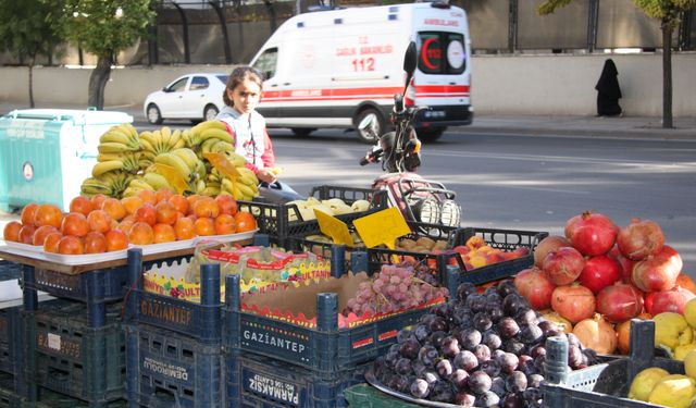 ‘GIDA GÜVENLİĞİ AÇISINDAN RİSK BARINDIRIYOR’