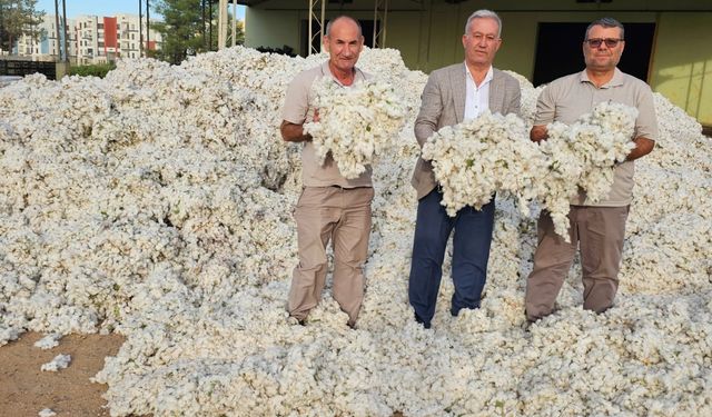 PAMUK ÜRETİCİSİ ÜZGÜN