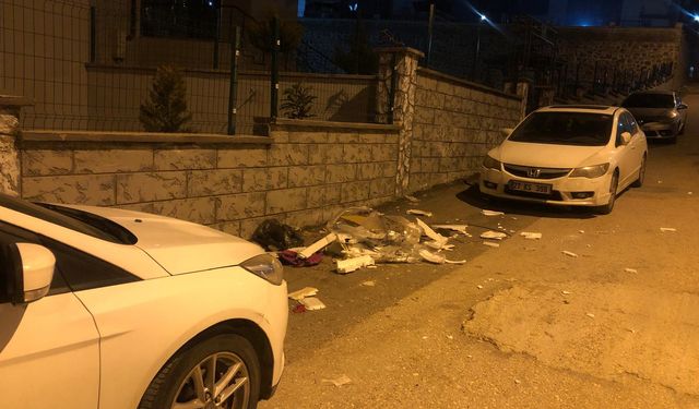 ‘KENTE YAKIŞMAYAN GÖRÜNTÜ’