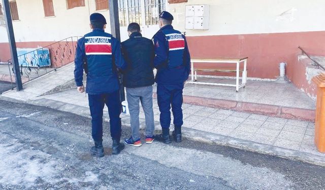 Hapis cezasıyla aranan hırsız cezaevinde!