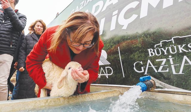 Meralarda hayvanlar temiz suya kavuştu