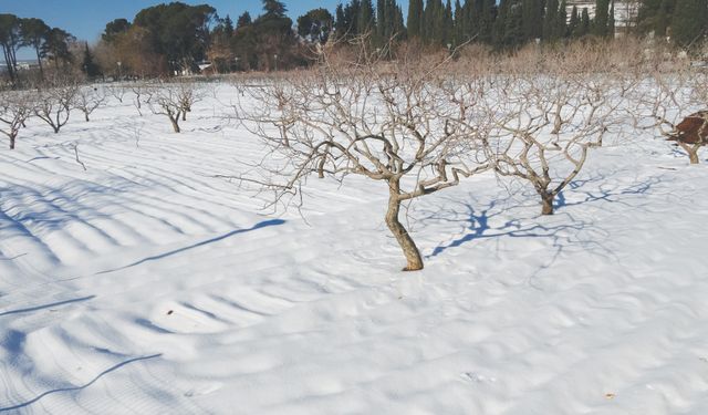 ÇiFTÇiNiN YÜZÜ GÜLDÜ