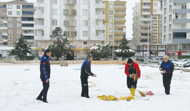 Sokak hayvanları unutulmadı!
