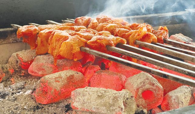 ‘Gıda zehirlenmeleri bir akut hastalığı’