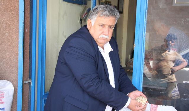 Demokrasi şölenine davet