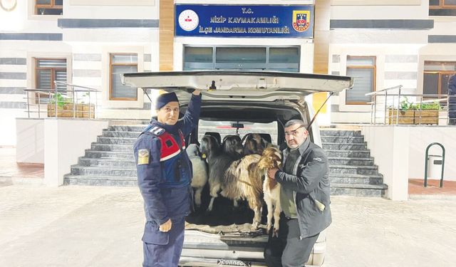Besici kılığındaki dolandırıcılar cezaevinde!