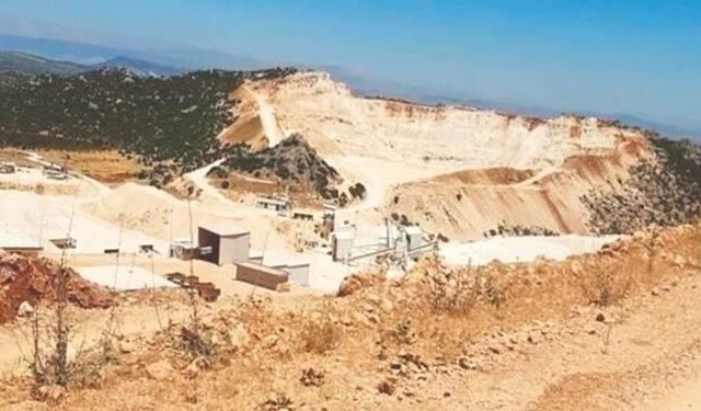 ‘Ormanlar yok ediliyor’