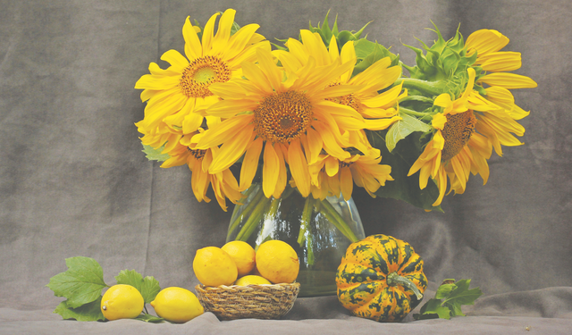 Doğanın dönüşümünü yansıtan çalışmalar sergilenecek