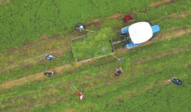 ‘Sulama kanallarıyla tarlalara can geliyor’