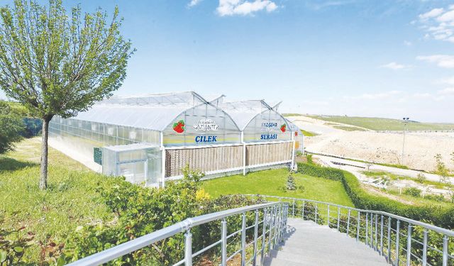 ‘Atıklardan üretilen elektrikle topraksız tarım tekniğini bulduk’