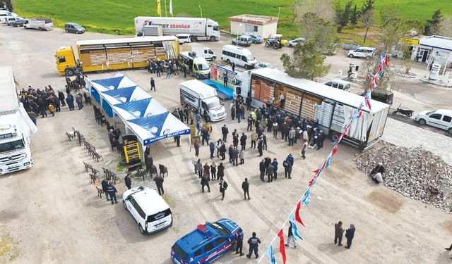 Çiftçilere 5 milyon sertifikalı fide desteği veriliyor