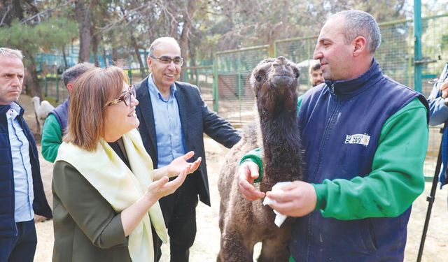 ‘Doğa dostu ve hayvan dostu bir şehiriz’