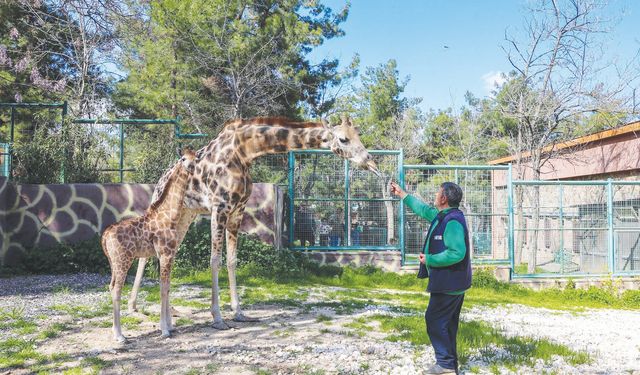 Doğal Yaşam Parkı her yıl kendini yeniliyor