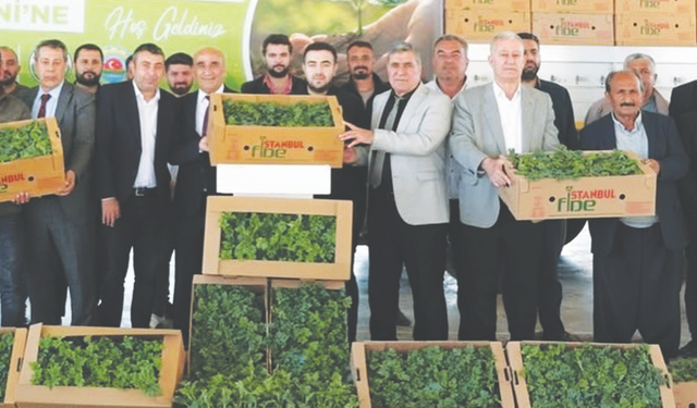 Çiftçiye yüzde 50 hibeli fide desteği!