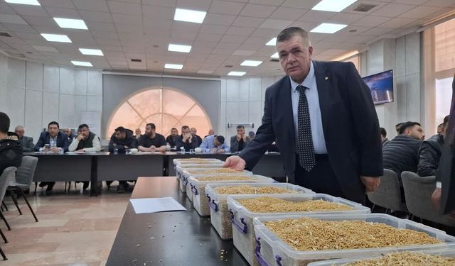 ‘Buğday, geniş bir değer zincirini etkiliyor’