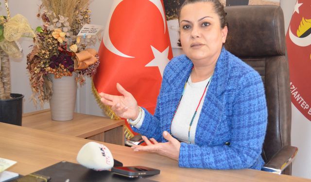 ‘Düzenlemenin etkin uygulanması için kurumsal altyapı oluşturulmalı’