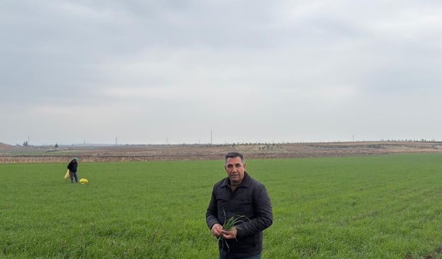 HUBUBATTA HASTALIK ENDİŞESİ!