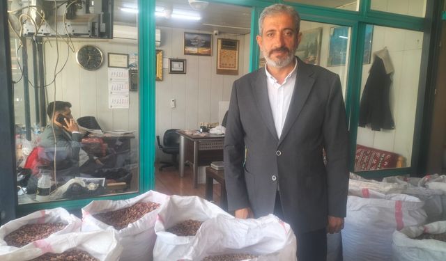 ORTADOĞU’DAKİ SAVAŞ FISTIK SEKTÖRÜNÜ VURDU