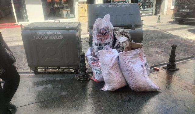 ÇÖPLER KÖTÜ GÖRÜNTÜYE VE KOKUYA NEDEN OLDU