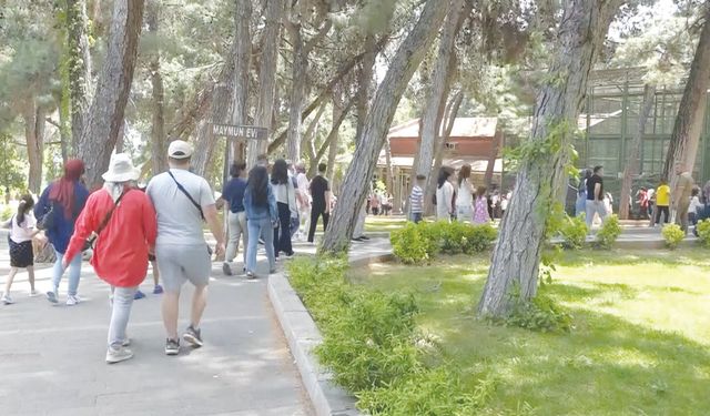 Ziyaretçiler kentin kültür ve tarihine hayran kaldı