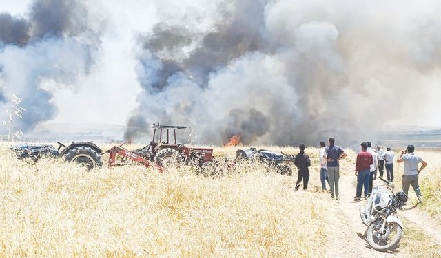 400 dönüm ekili alan alev alev yandı