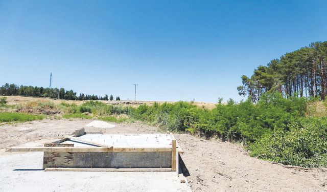 ‘Dünyanın en fazla kuş çeşidinin olduğu alan burada’