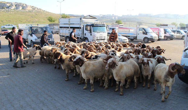 ÜRETİCİNİN YÜZÜ GÜLDÜ!