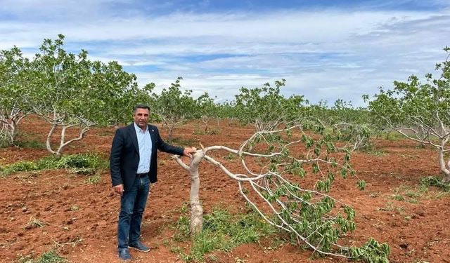 BİNLERCE DÖNÜM ARAZİ ZARAR GÖRDÜ