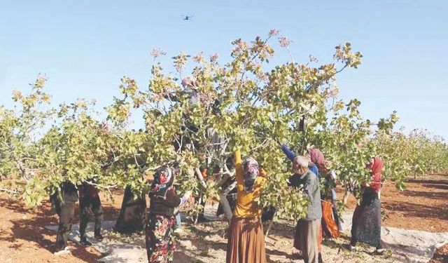 ‘Türkiye'nin parasını ödediği uçakları alamıyor’