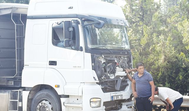 Otoyolda can pazarı!