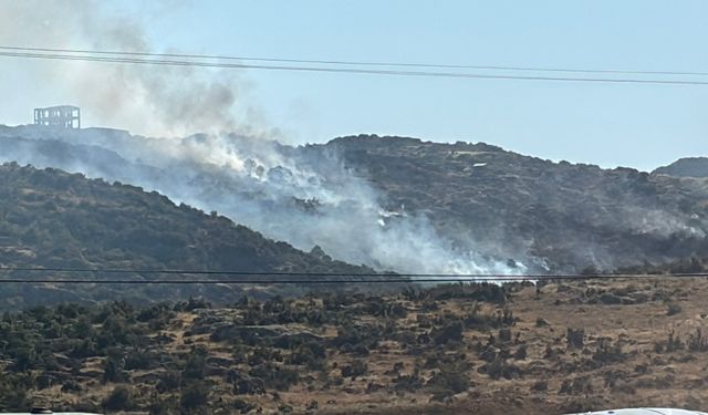 Makilik alanda çıkan yangın söndürüldü