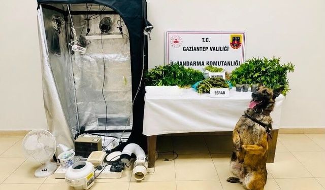 Uyuşturucuyla mücadele kararlılıkla sürüyor
