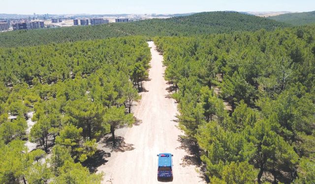 Orman yangınlarına karşı dron destekli devriye!