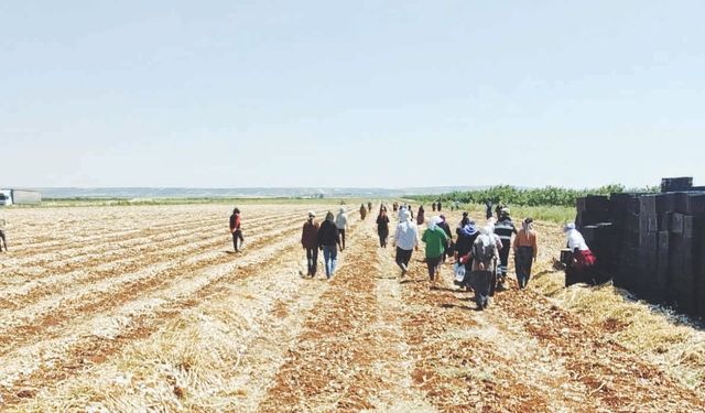 "Tarım alarm veriyor"