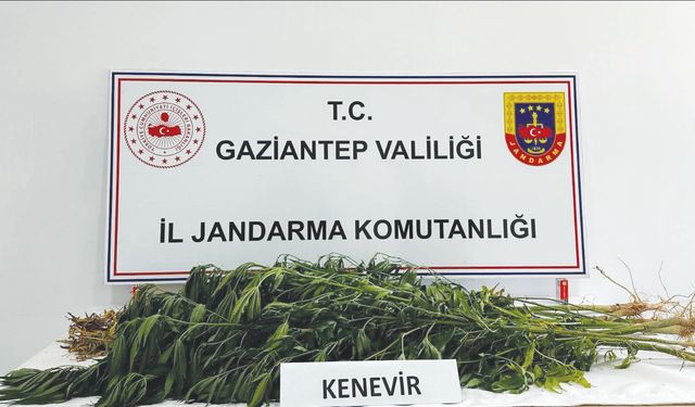 Uyuşturucu operasyonları sürüyor