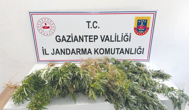 Uyuşturucu tacirlerine göz açtırmıyorlar!