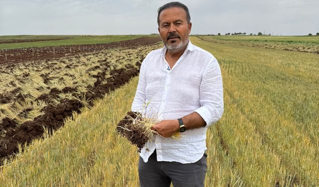 HUBUBAT HASADINDA SONA GELİNDİ!