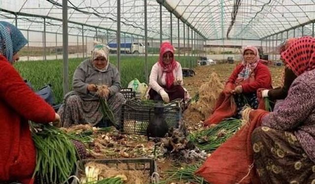 Aracı maliyeti ortadan kalkıyor!