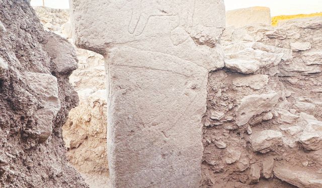 ‘Neolitik döneme ışık tutuyoruz’