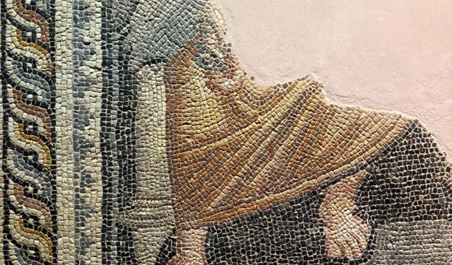‘Çıplak gözle fark edilmeyen ayrıntıyı tıbbi bakış açısıyla inceliyoruz’