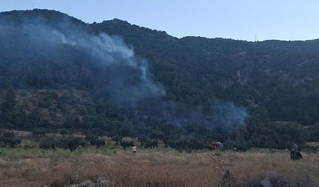 Orman yangını kontrol altında!