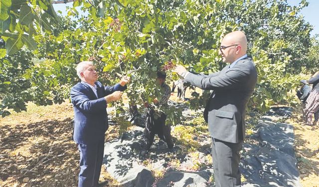 ‘Antep fıstığının gelecek yıllarda daha fazla tanıtılması gerek’