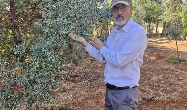 ‘ÜRETİMİ, ÜRETİCİYİ VE KIRSAL GELECEĞİMİZİ BİRLİKTE KORUYALIM’