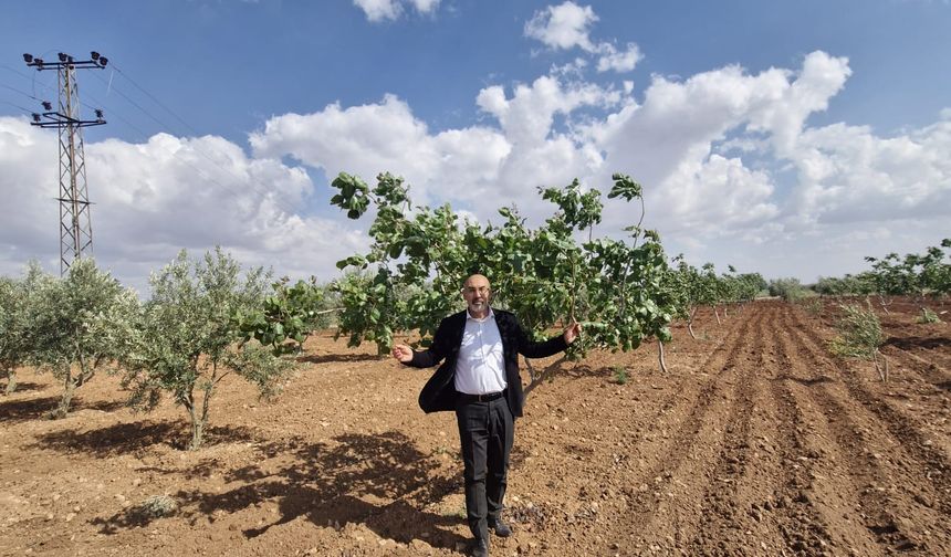 ‘Çiftçi tarlasından toprağından koparılıyor’
